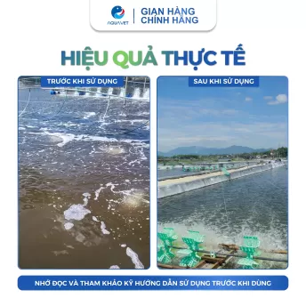 Thuốc Tím KMnO4 99%